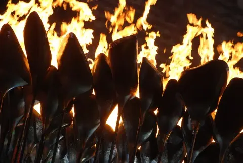 Týden ve víru olympiády